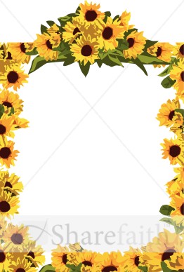 Full%20Frame%20Golden%20Sunflowers