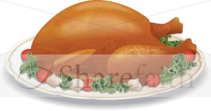 Roast Turkey on a Plate