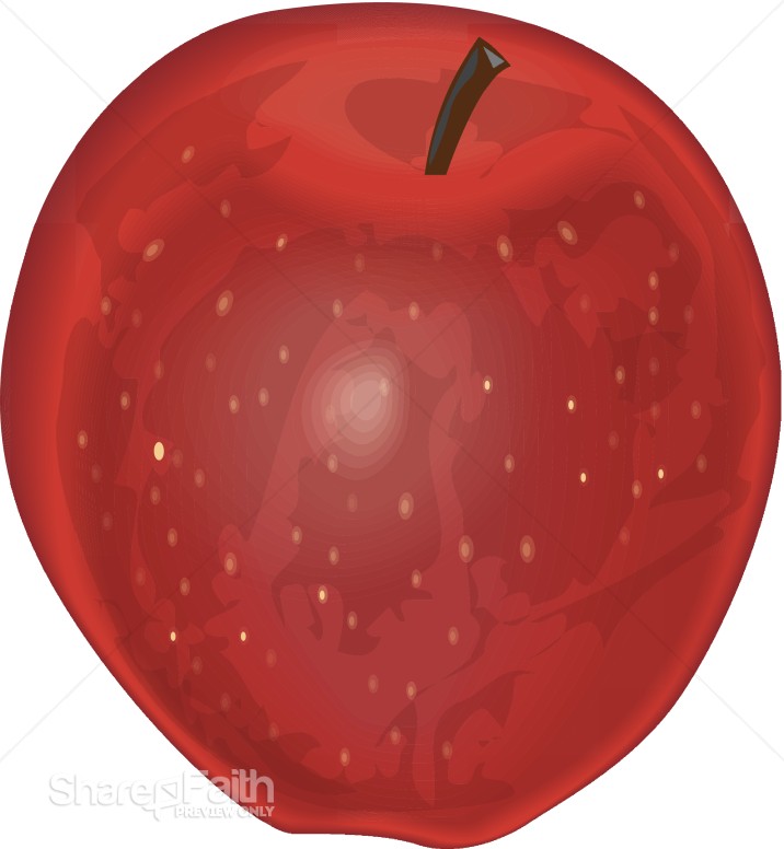Ripe Red Apple