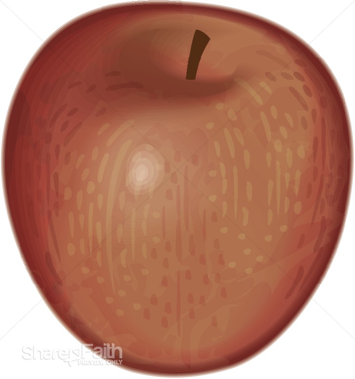 Shiny Red Apple