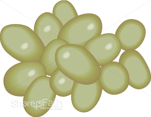 Green%20Grape%20Cluster