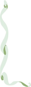 Green Ribbon with Shadows