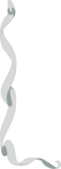 Gray Ribon with Shadows