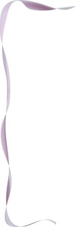 Purple Ribbbon Frame Left Side