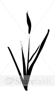 Brushstrok Cattail
