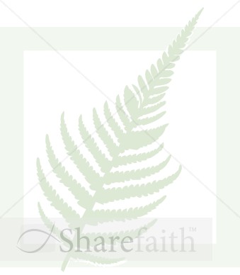 Fern%20in%20Green%20Box