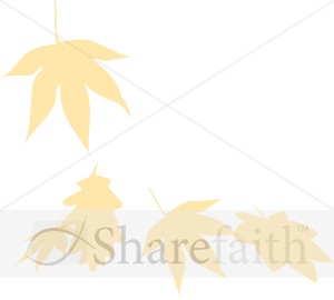 Orange Maple Corner