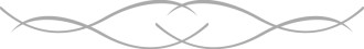 Simple%20Line%20Divider%20in%20Gray