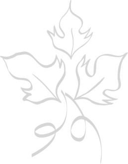 Harvest Leaf Line Art