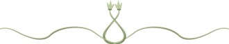 Simple%20Vine%20Divider%202