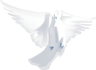 Living%20Dove