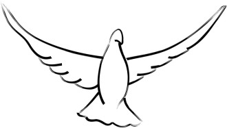 Open%20Wings%20Dove