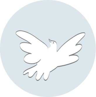 A Soaring Dove