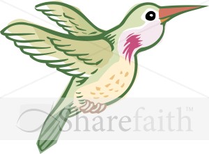 Green%20Hummingbird