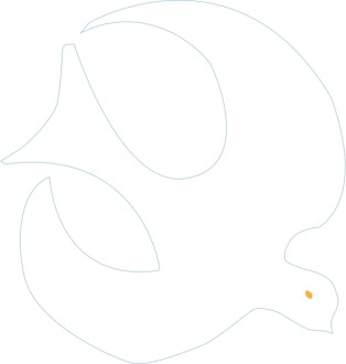 White Dove Graphic