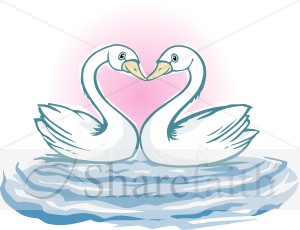 Swan Lovebirds form Heart