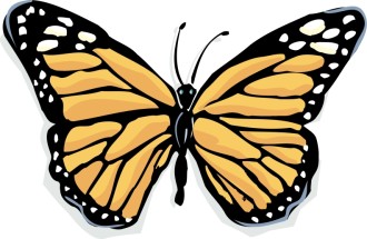 Light%20Orange%20Monarch%20Butterfly
