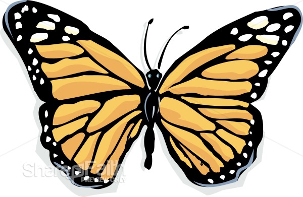 Light%20Orange%20Monarch%20Butterfly