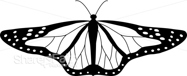 Cute Black and white Butterfly