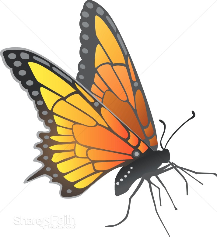 butterfly cliparts. Modern Monarch utterfly
