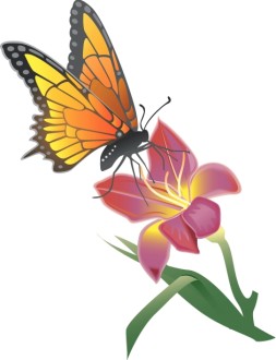 Monarch%20butterfly%20Resting%20on%20a%20Lily