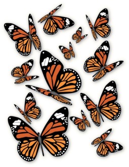 A%20bunch%20of%20Monarch%20Butterflies