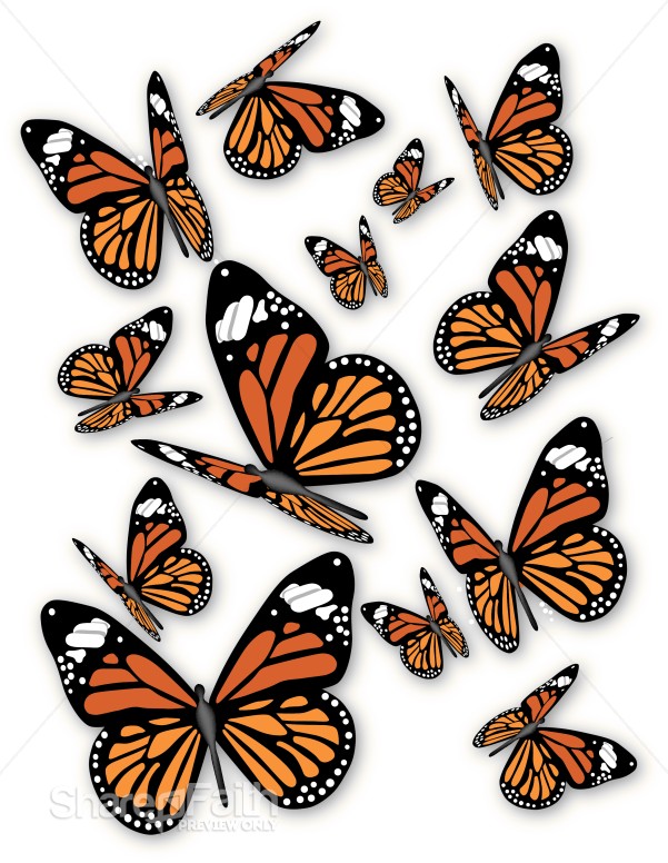 A%20bunch%20of%20Monarch%20Butterflies