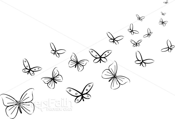 Bunch of Black and White Butterflies