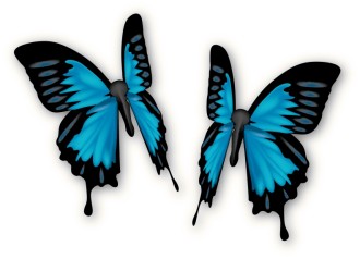 Pair%20of%20Blue%20Butterflies