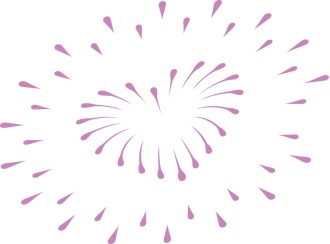 Purple%20Heart%20Firework