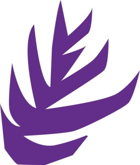 Abstract%20Purple%20Foliage