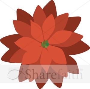 Modern Red Poinsettia