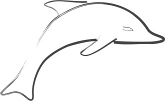 Jumping%20Dolphin