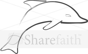 Jumping%20Dolphin