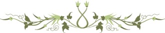 Symmetrical%20Floral%20Ornament%20Page%20Divider