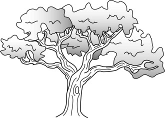 Simple%20Oak%20Tree%20Drawing