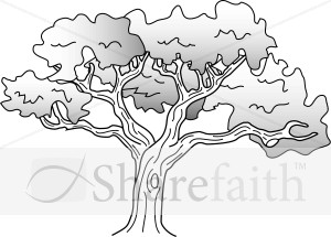 Simple Oak Tree Drawing