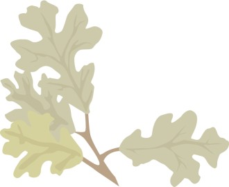 Oak%20Leaves%20lower%20left%20corner
