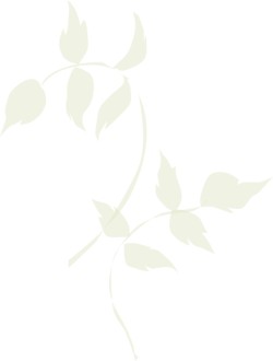 Two%20Pale%20Green%20Branches