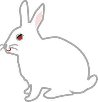 White%20Bunny%20with%20a%20Red%20Eye