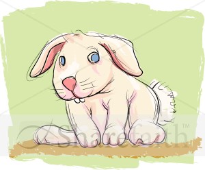 Bunny with Green Background