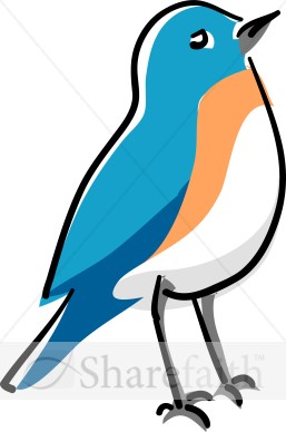 Blue Bird Standing