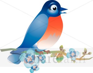 Blue Bird on a Limb