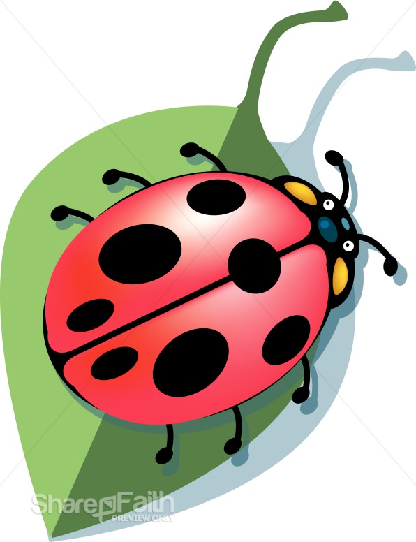 Our%20Lady%20Bug