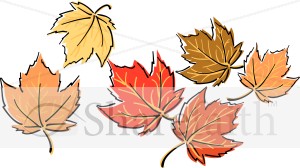 Bright Fall Maple Leaves