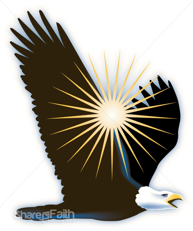 Sun Shines Through Eagle Wings
