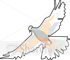 Dove%20from%20Below