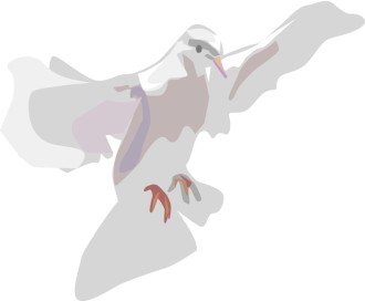 White%20Dove%20Landing