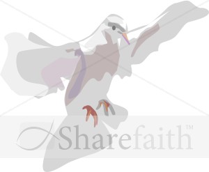 White%20Dove%20Landing