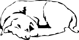Sleeping Nativity Lamb